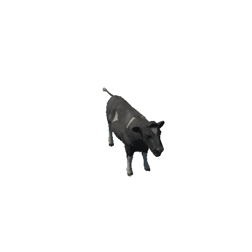 Cow LP